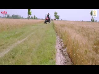 Hawa Cho Mehkan Young Malang Video Song