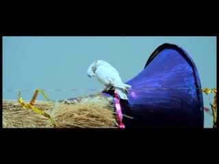 Putt Jattan De Sippy Gill,Surinder Shinda Video Song