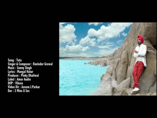 Tota Maina Ravinder Grewal Video Song