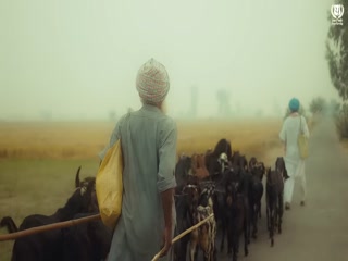 Saroor Panjab Intro Video Song ethumb-009.jpg